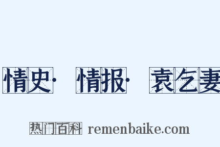 情史·情报·袁乞妻是什么意思的图片